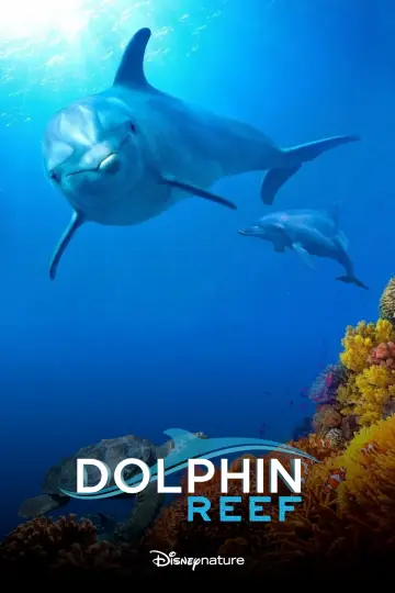 Dolphin Reef