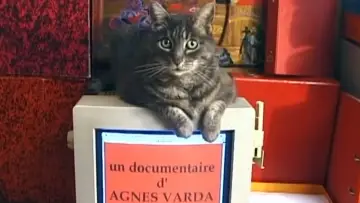 Hommage à Zgougou (et salut à Sabine Mamou) постер