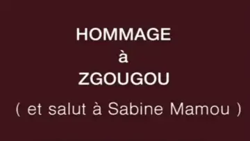 Задник до фильму"Hommage à Zgougou (et salut à Sabine Mamou)" #1147985