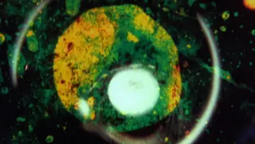 Задник до фільму "By Brakhage: An Anthology, Volume One" #1784515