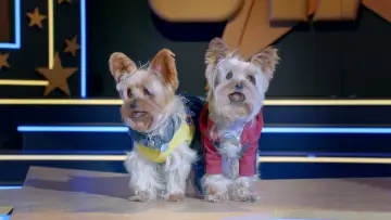 Задник до фильму"Pup Star: Better 2Gether" #406174