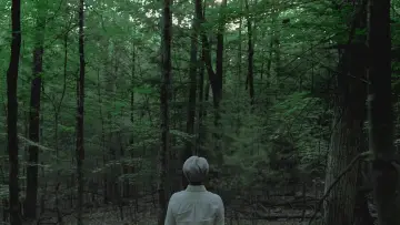 Задник до фільму "Ryuichi Sakamoto: CODA" #818473