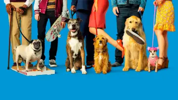 Задник до фильму"Dog Days" #1073527