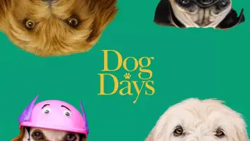 Задник до фильму"Dog Days" #1073528