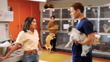 Задник до фильму"Dog Days" #1073539