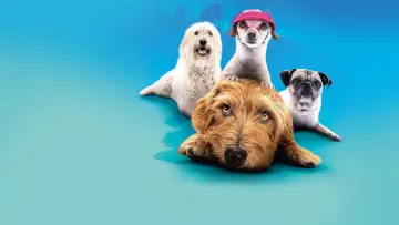 Задник до фильму"Dog Days" #1073544