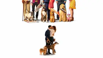 Задник до фильму"Dog Days" #1073547