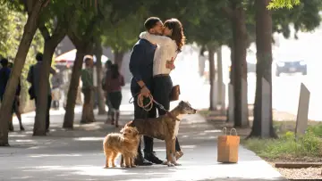 Задник до фильму"Dog Days" #440392