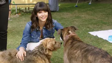 Задник до фильму"Dog Days" #440396