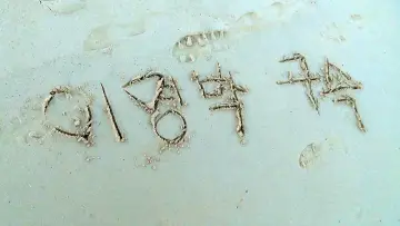 Задник до фильму"저수지 게임" #922491