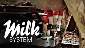Задник до фільму "Das System Milch" #1615819
