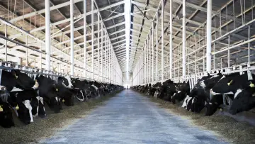 Задник до фільму "Das System Milch" #1615821