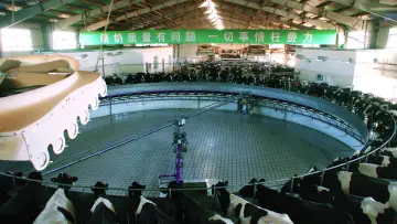 Задник до фільму "Das System Milch" #1615822