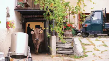 Задник до фільму "Das System Milch" #1615825