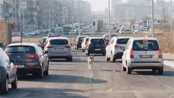 Щасливий Ладзаро