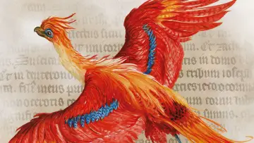 Задник до фильму"Harry Potter: A History Of Magic" #359036