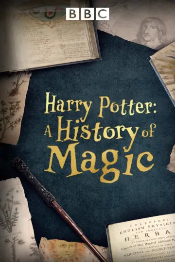Постер до фильму"Harry Potter: A History Of Magic" #359039