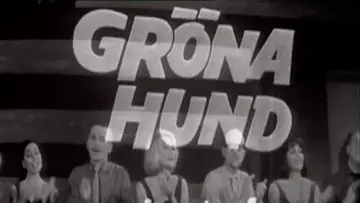 Gröna Hund постер