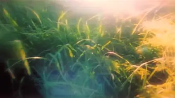 Задник до фильму"It