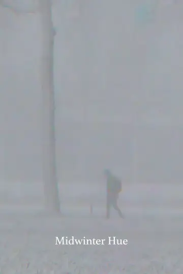 Midwinter Hue постер