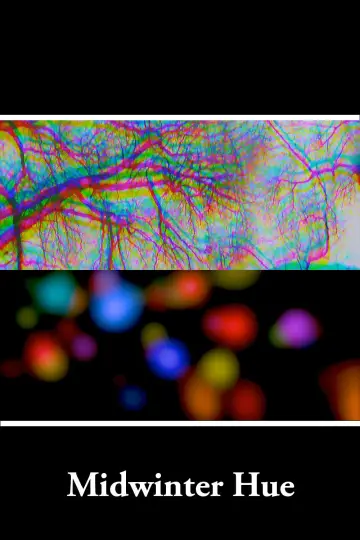 Постер до фильму"Midwinter Hue" #969031