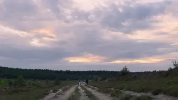 Задник до фильму"Чорна вдова" #1178458