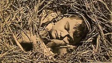 Задник до фильму"The Hayseed" #766521