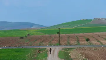 Задник до фильму"Дорога" #1121854
