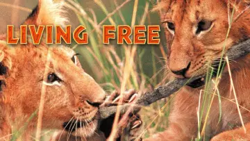 Задник до фильму"Living Free" #742308