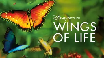 Задник до фільму "Wings of Life" #1854656