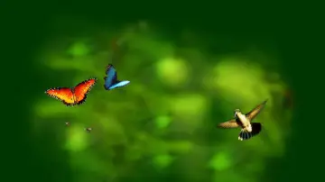 Задник до фільму "Wings of Life" #1854657