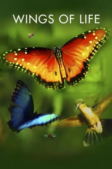 Wings of Life постер