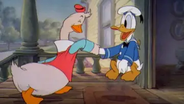Задник до фільму "Donald