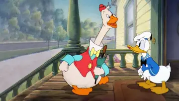 Задник до фільму "Donald
