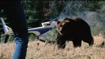 Задник до фільму "Grizzly" #418023