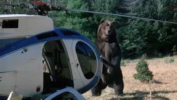 Задник до фільму "Grizzly" #418032