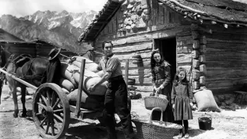 Задник до фильму"Brigham Young" #691668