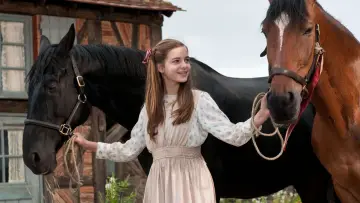 Задник до фильму"Бойовий кінь" #719021