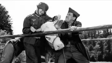 Задник до фільму "La Vache et le Prisonnier" #1144740