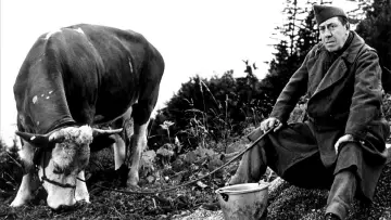 Задник до фільму "La Vache et le Prisonnier" #1144741