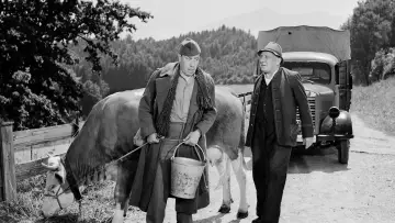 Задник до фільму "La Vache et le Prisonnier" #1144744