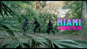 Задник до фільму "Miami Connection" #540498