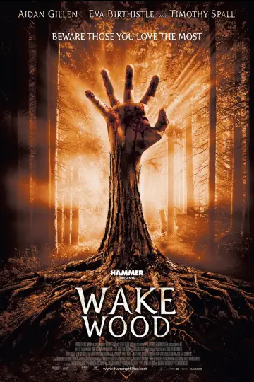 Постер до фильму"Wake Wood" #1132002
