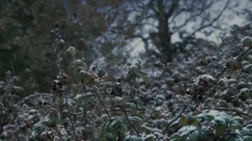 Задник до фільму "Wake Wood" #1637419