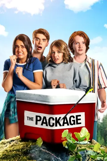 Постер до фильму"The Package" #150693