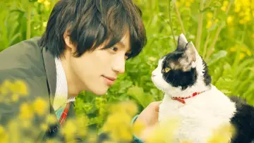 Задник до фильму"旅猫リポート" #424871