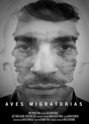 Aves migratorias постер
