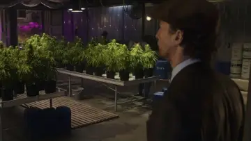 Задник до фільму "Джентльмени" #762218