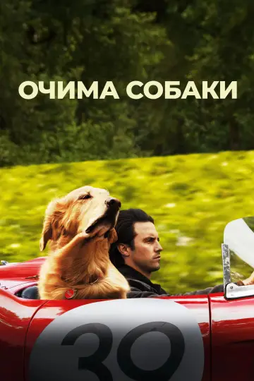 Постер до фильму"Очима собаки" #716559