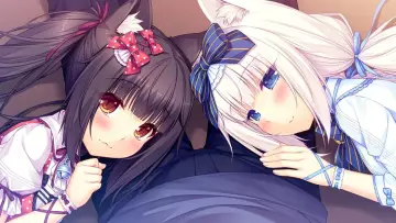 Задник до фильму"ネコぱらOVA" #418271